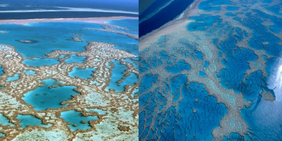 La gran barrera de coral Australia el arrecife mas grande del mundo