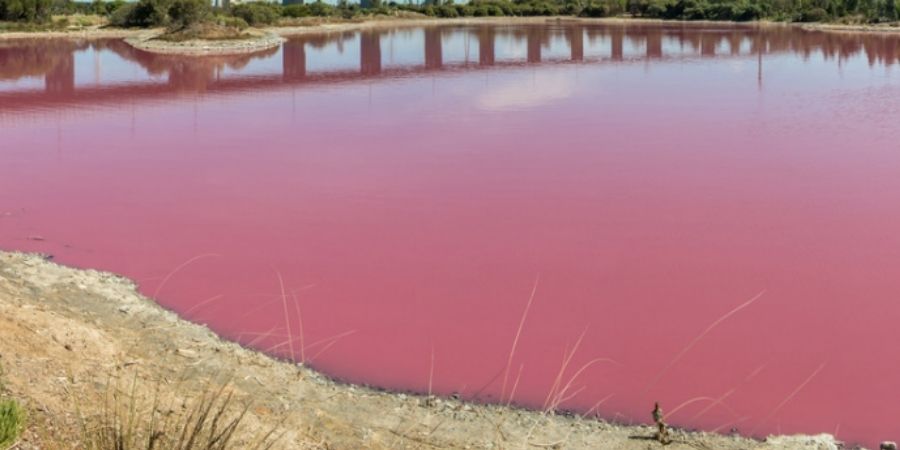 Lago Hillier Australia, de los mas famosos lagos color rosa